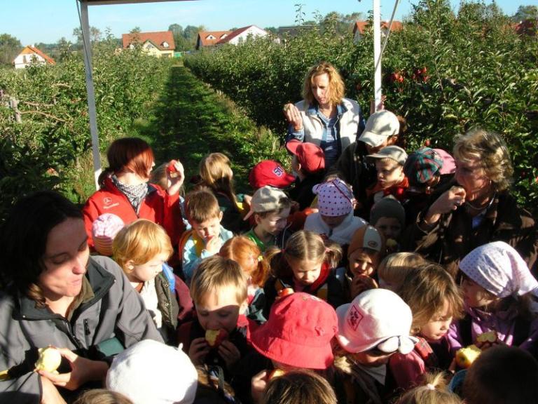 Kindergartenausflug zum Apfelbauer